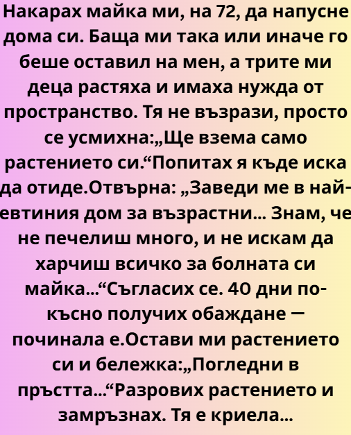Screenshot_23