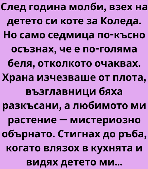 Screenshot_3